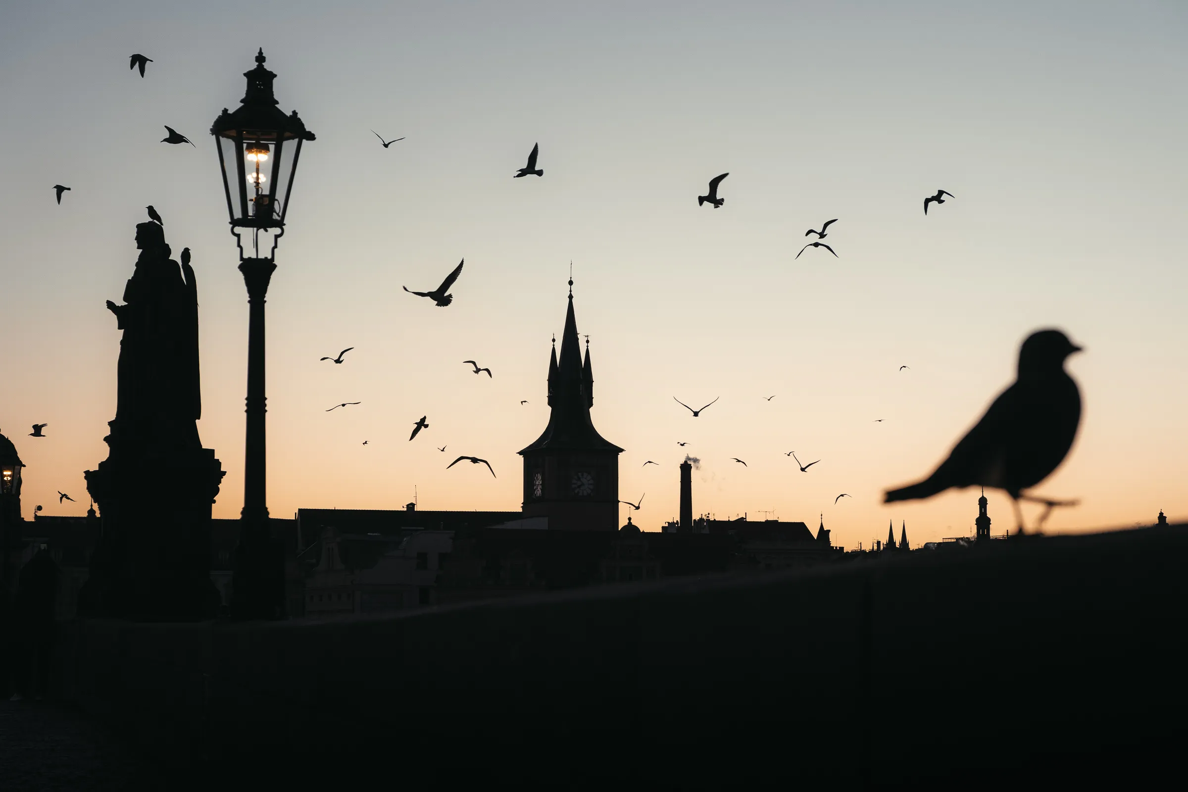 Eastern Europe — 東欧 2