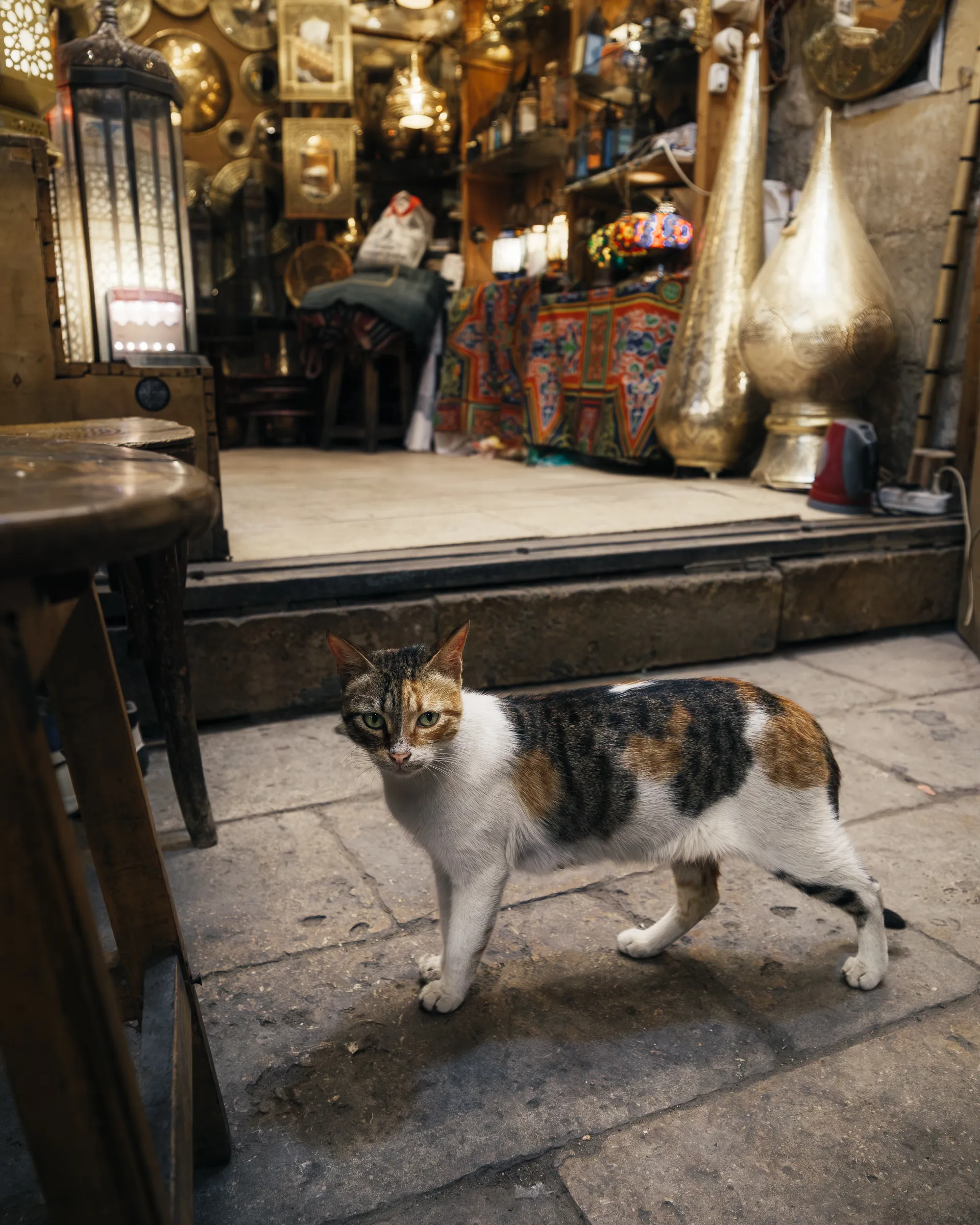 North Africa — 北阿 5