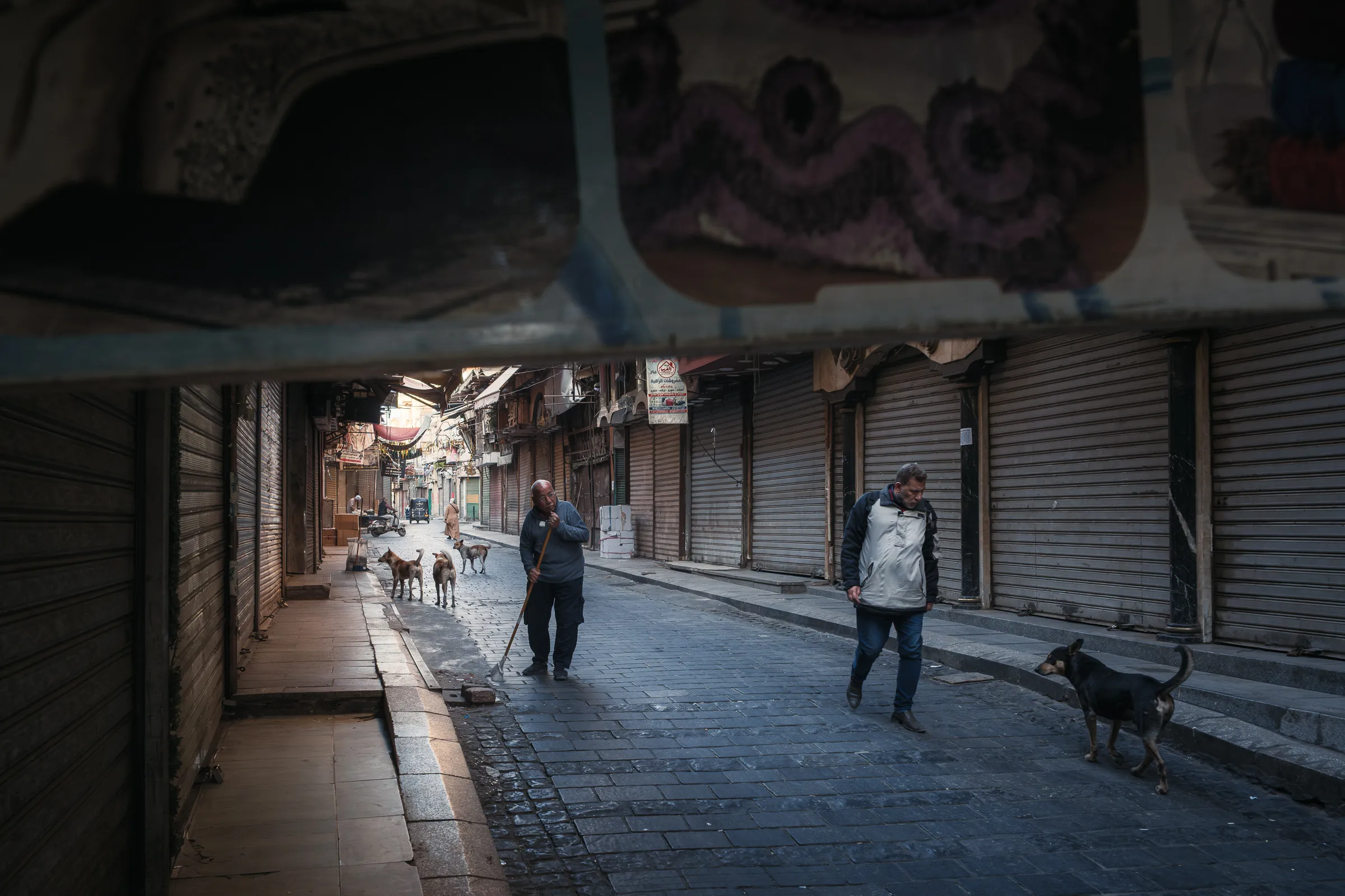 North Africa — 北阿 6