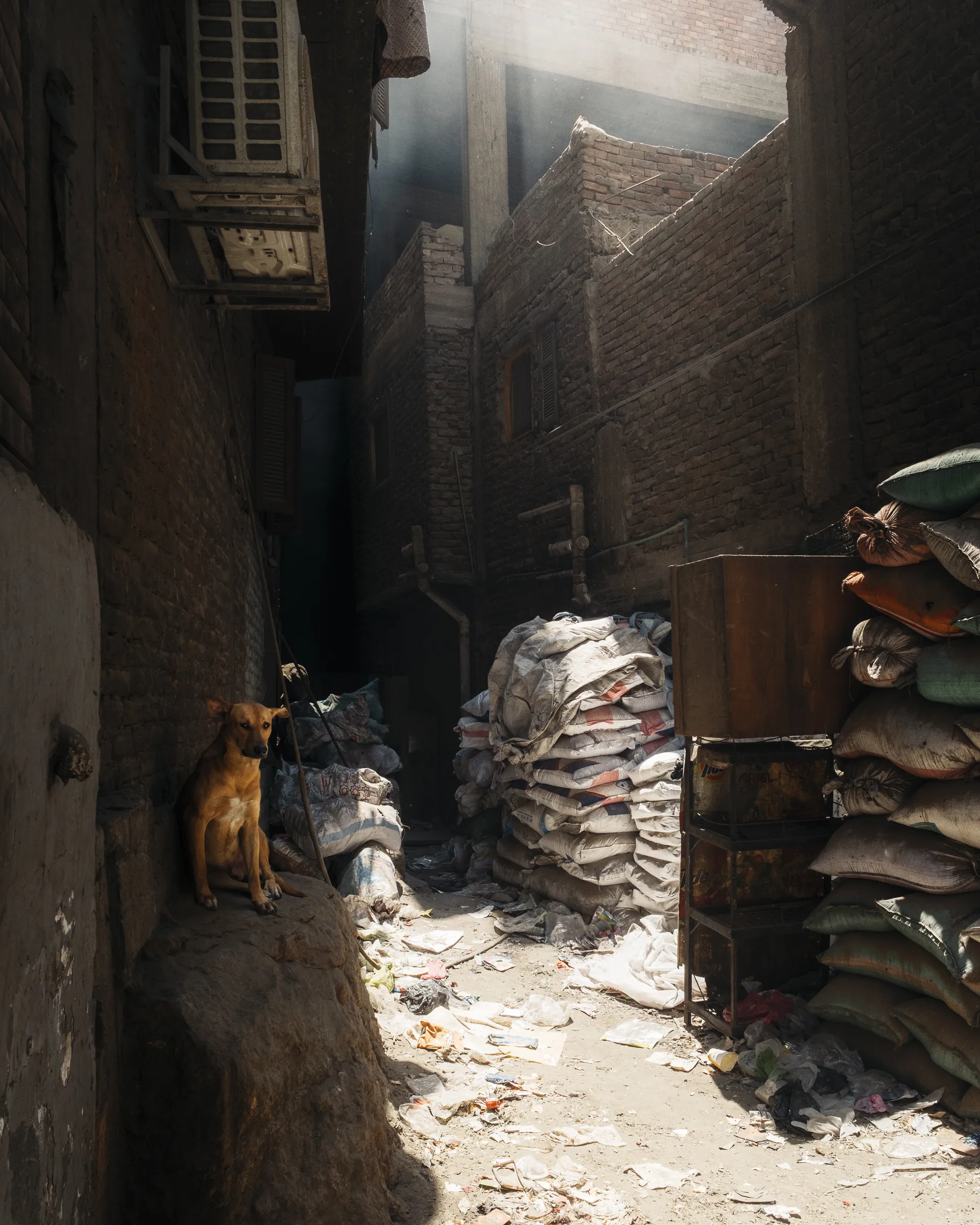 North Africa — 北阿 15
