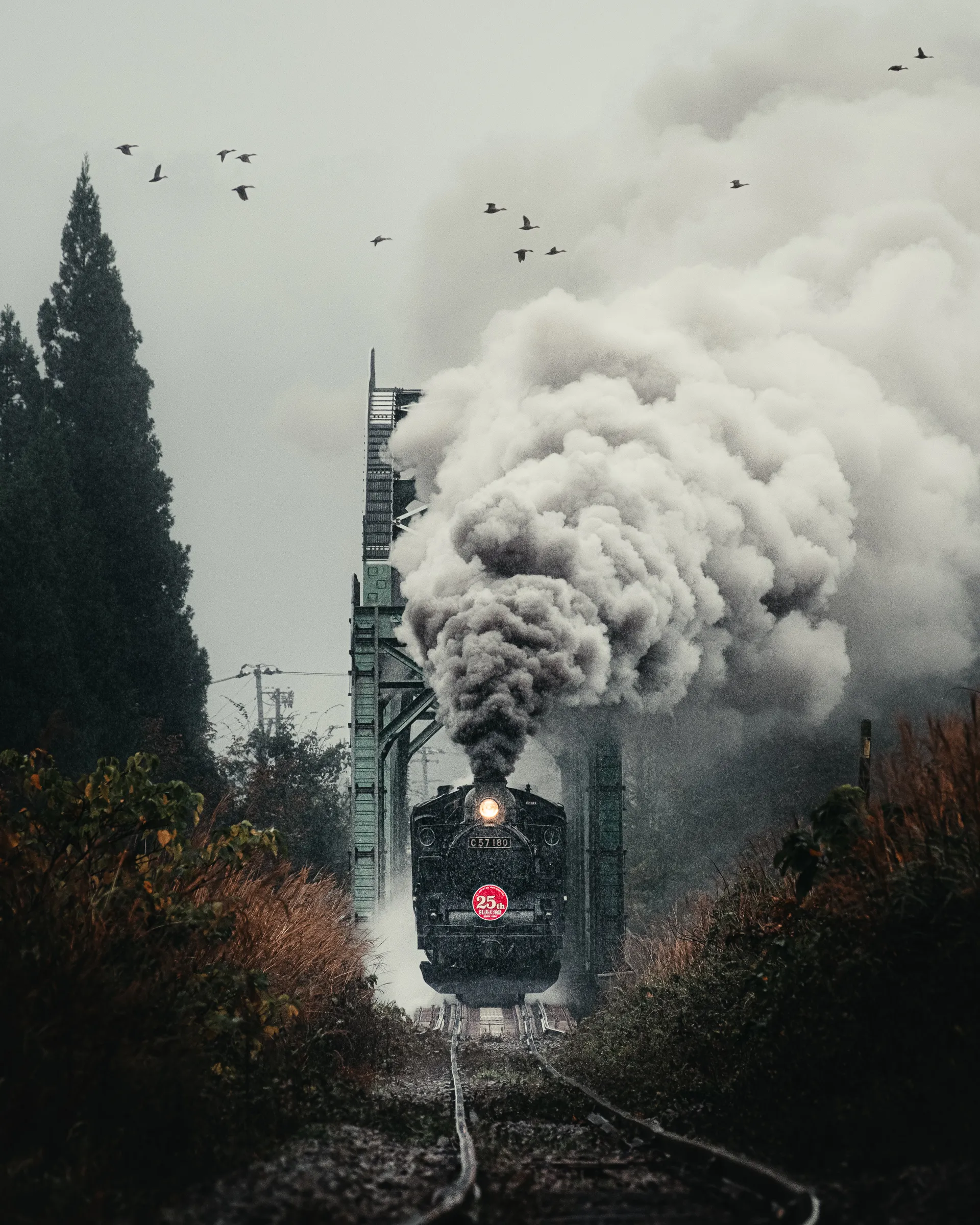 Autumn — 秋 1