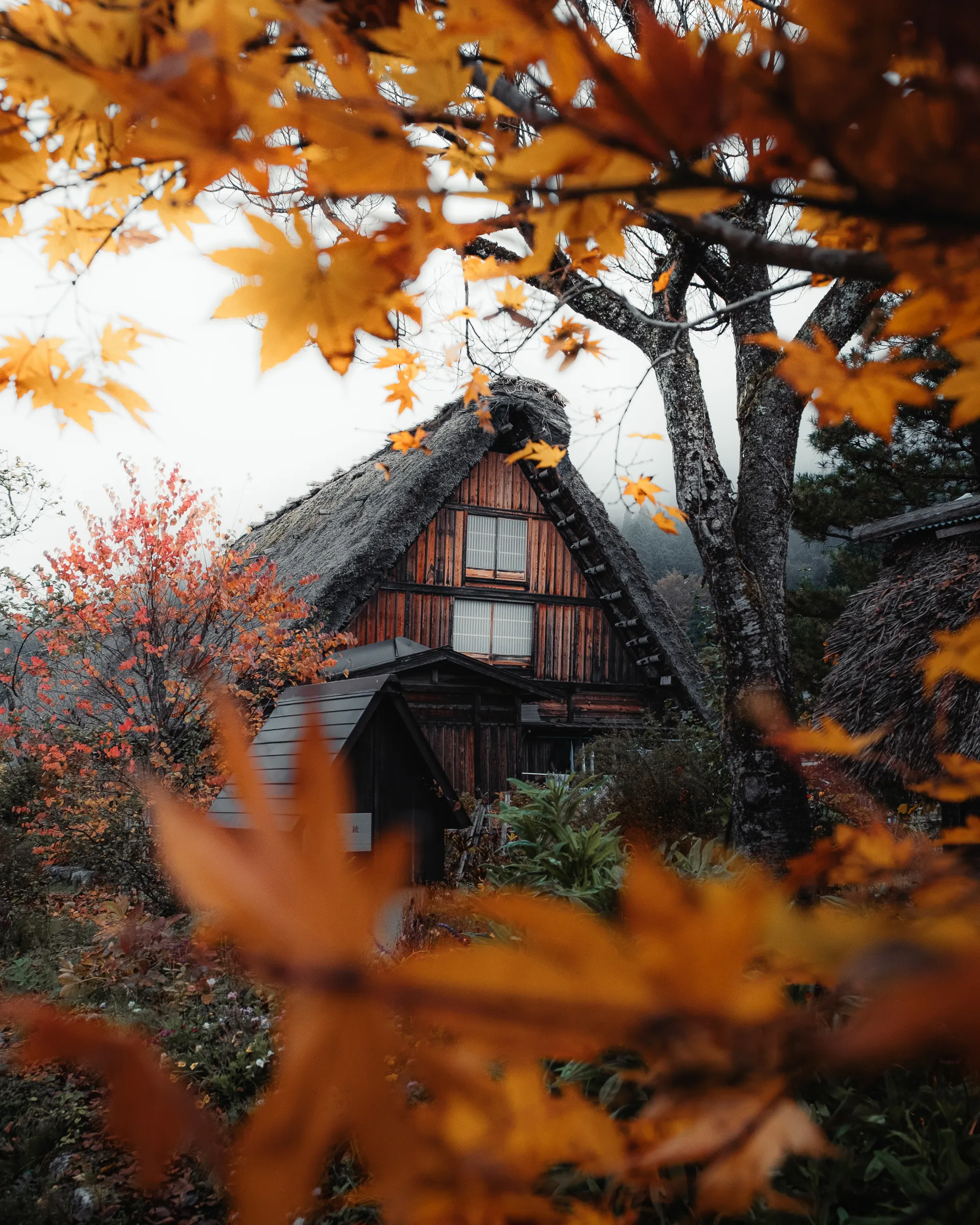 Autumn — 秋 2