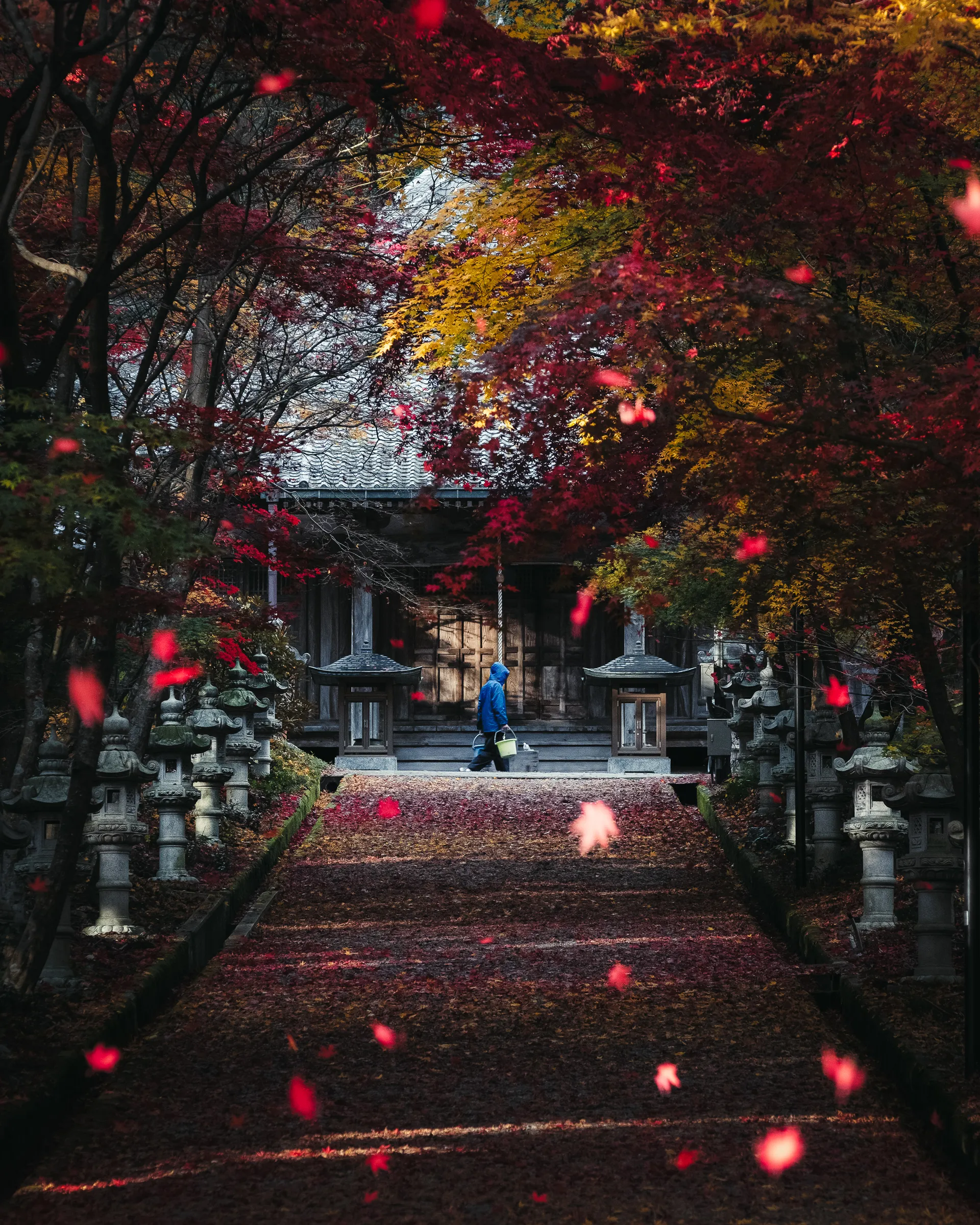Autumn — 秋 5