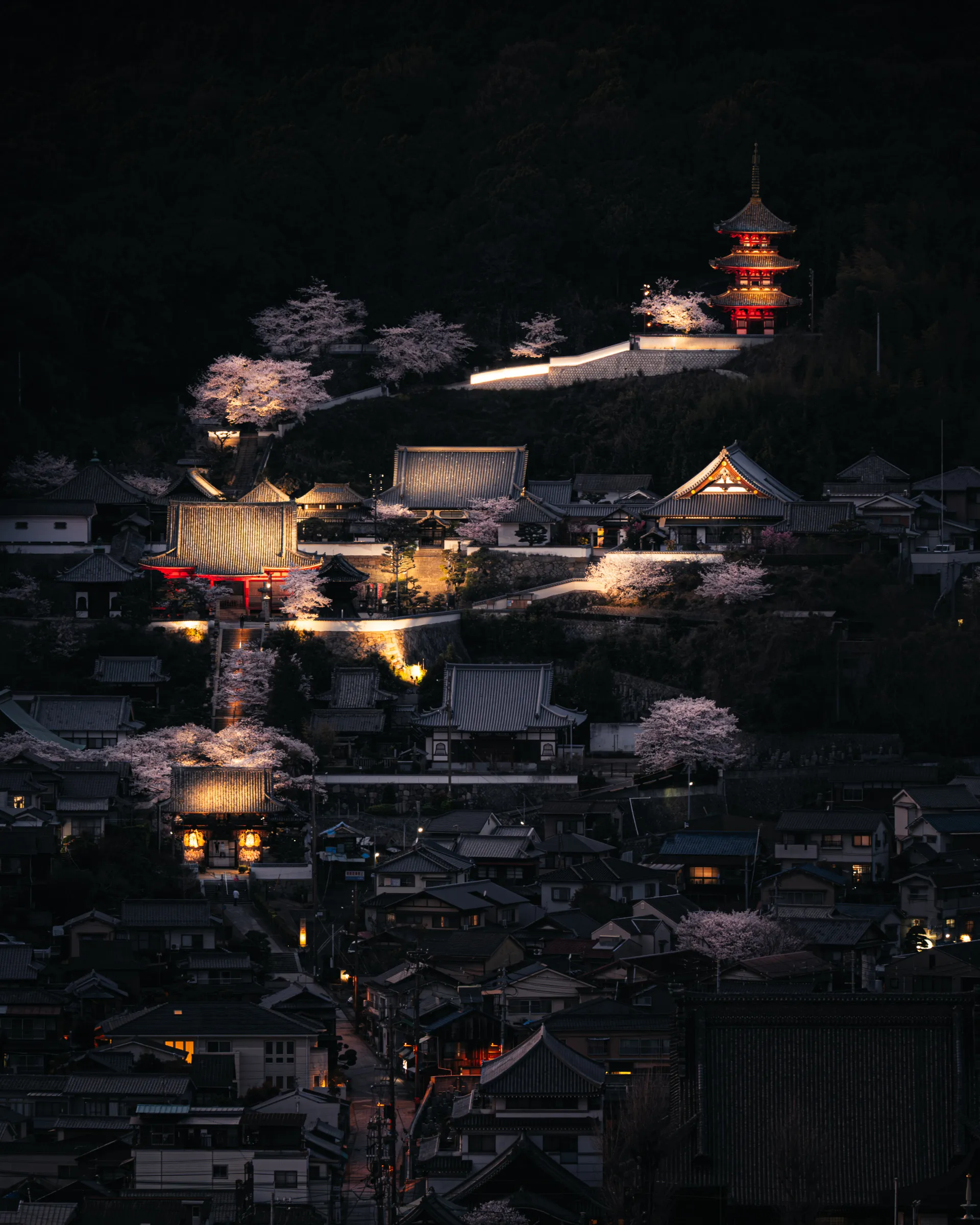 Spring — 春 4