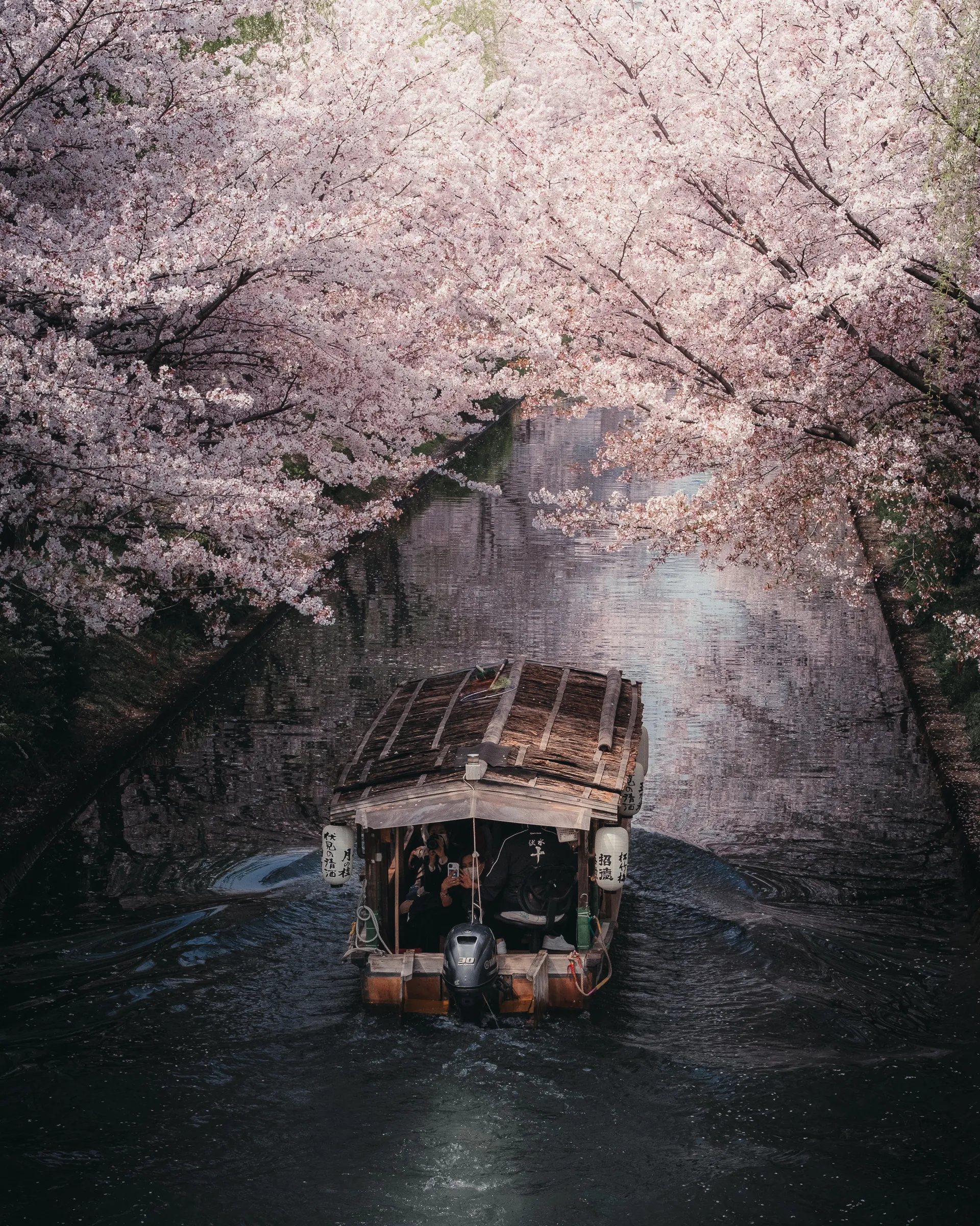 Spring — 春 5