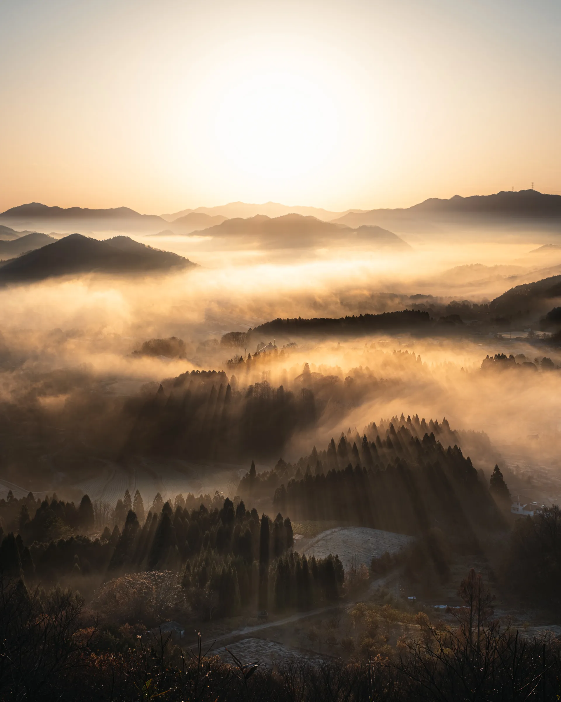 Winter — 冬 5