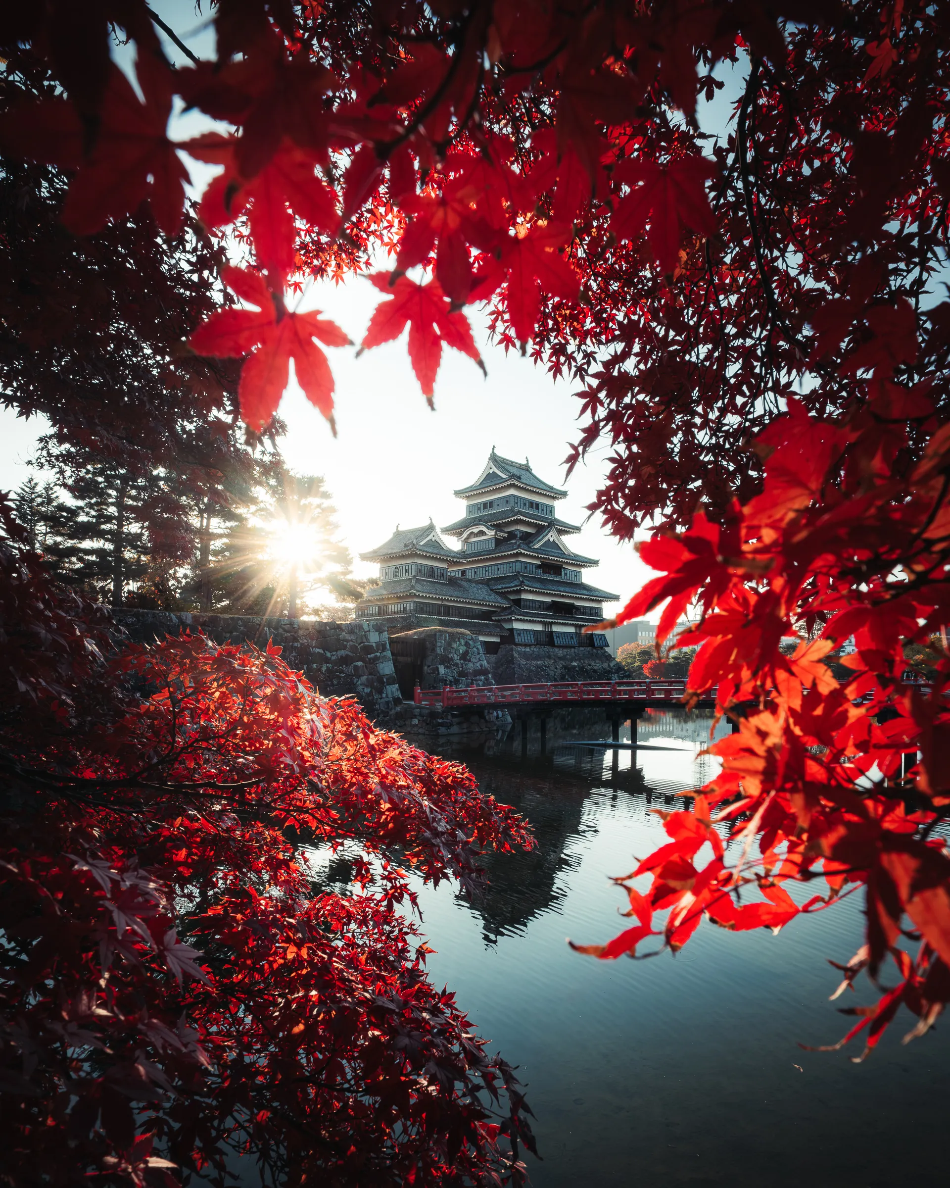 Autumn — 秋 9