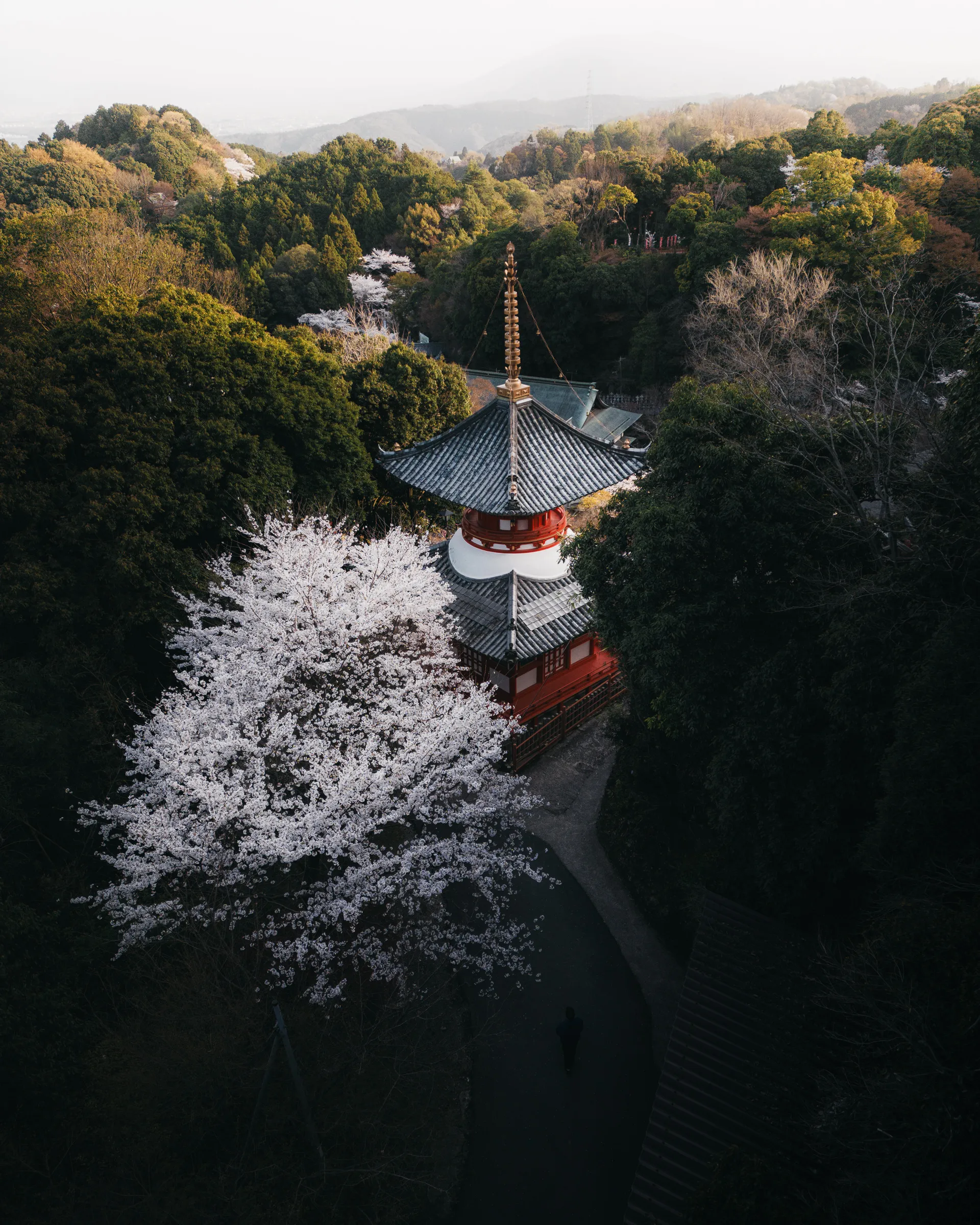 Spring — 春 6