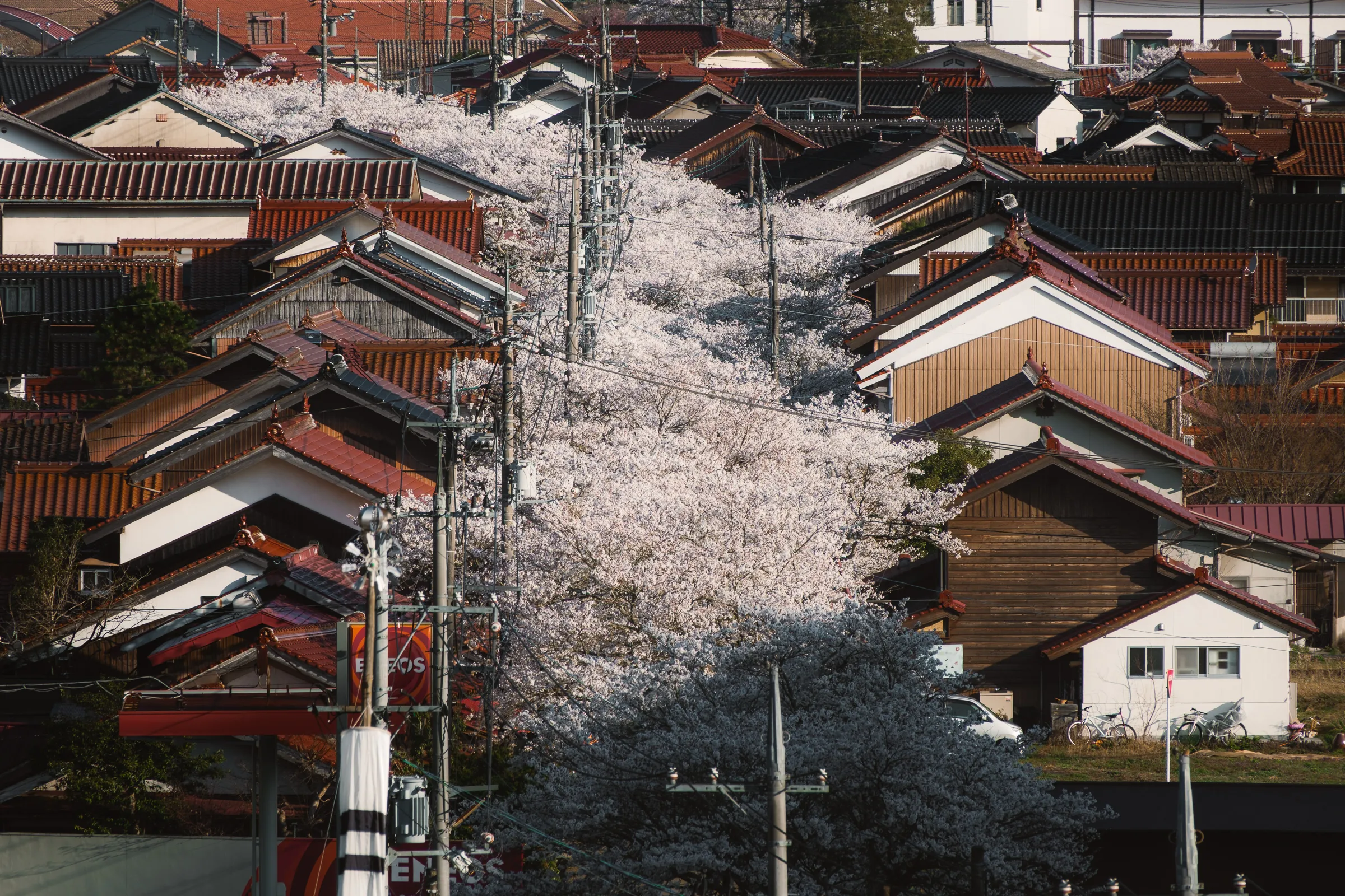 Spring — 春 8