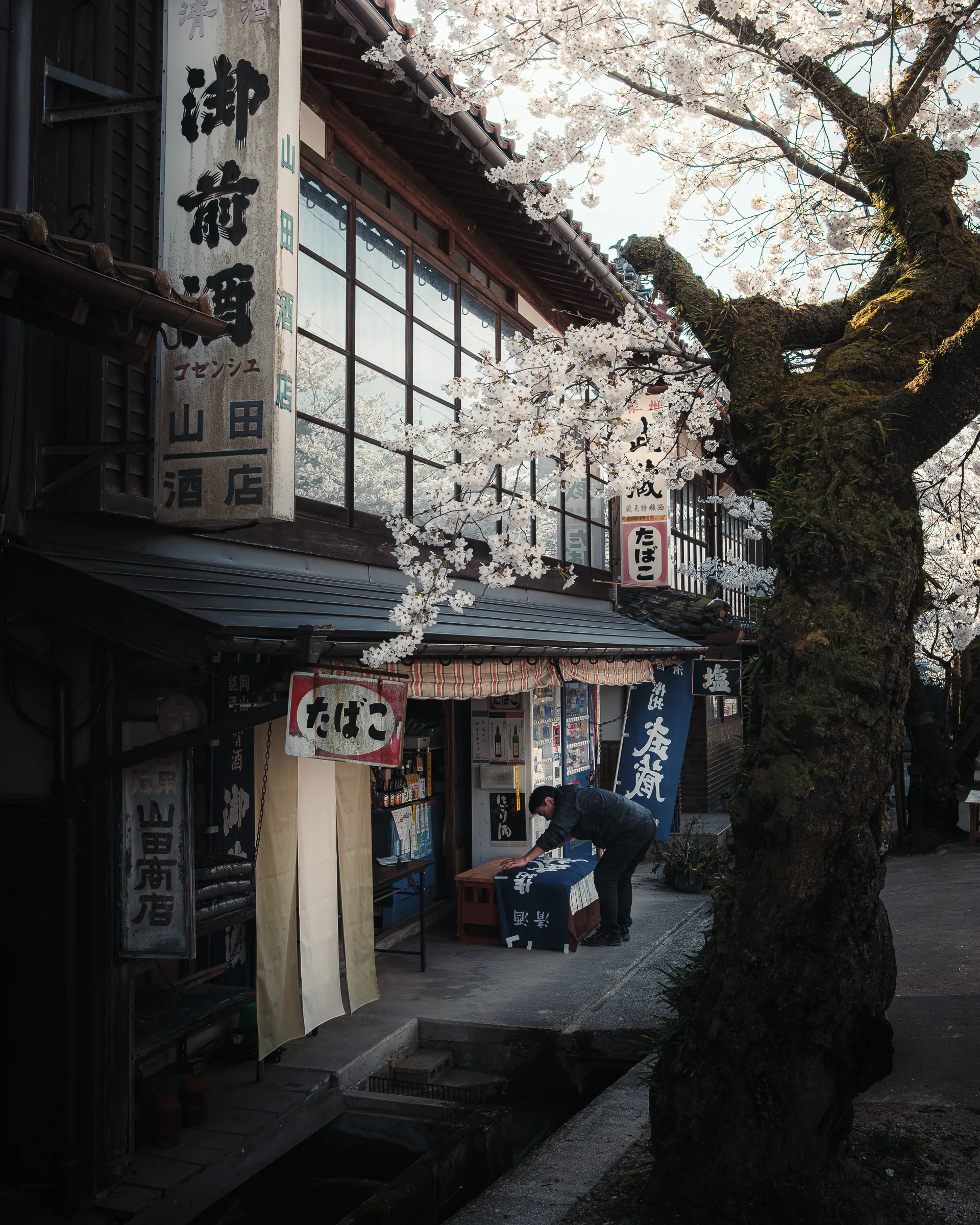Spring — 春 9