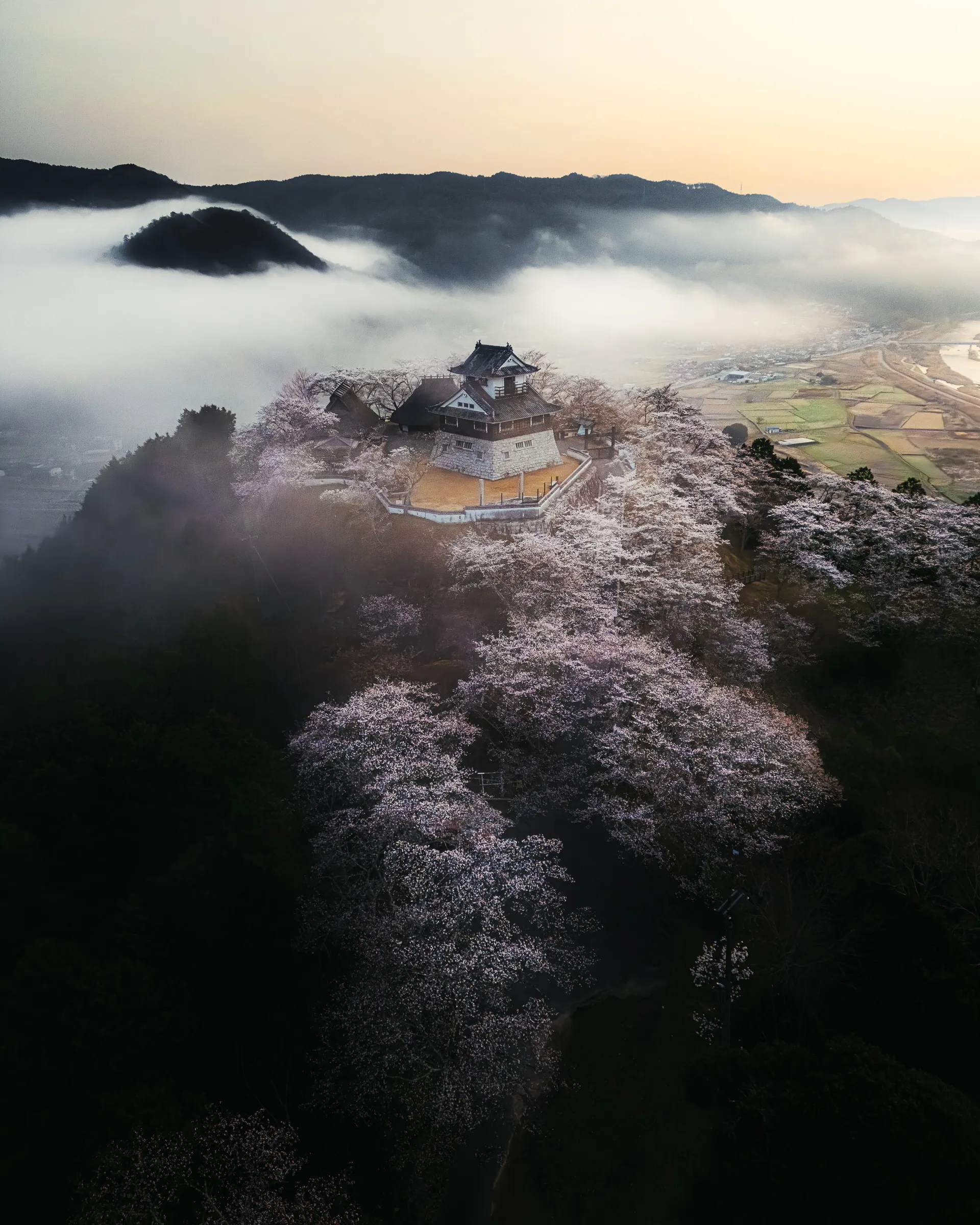 Spring — 春 11