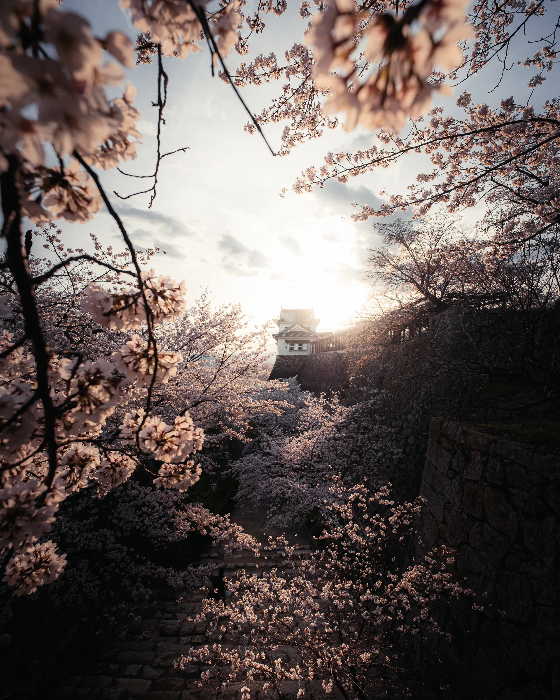 Spring — 春 12