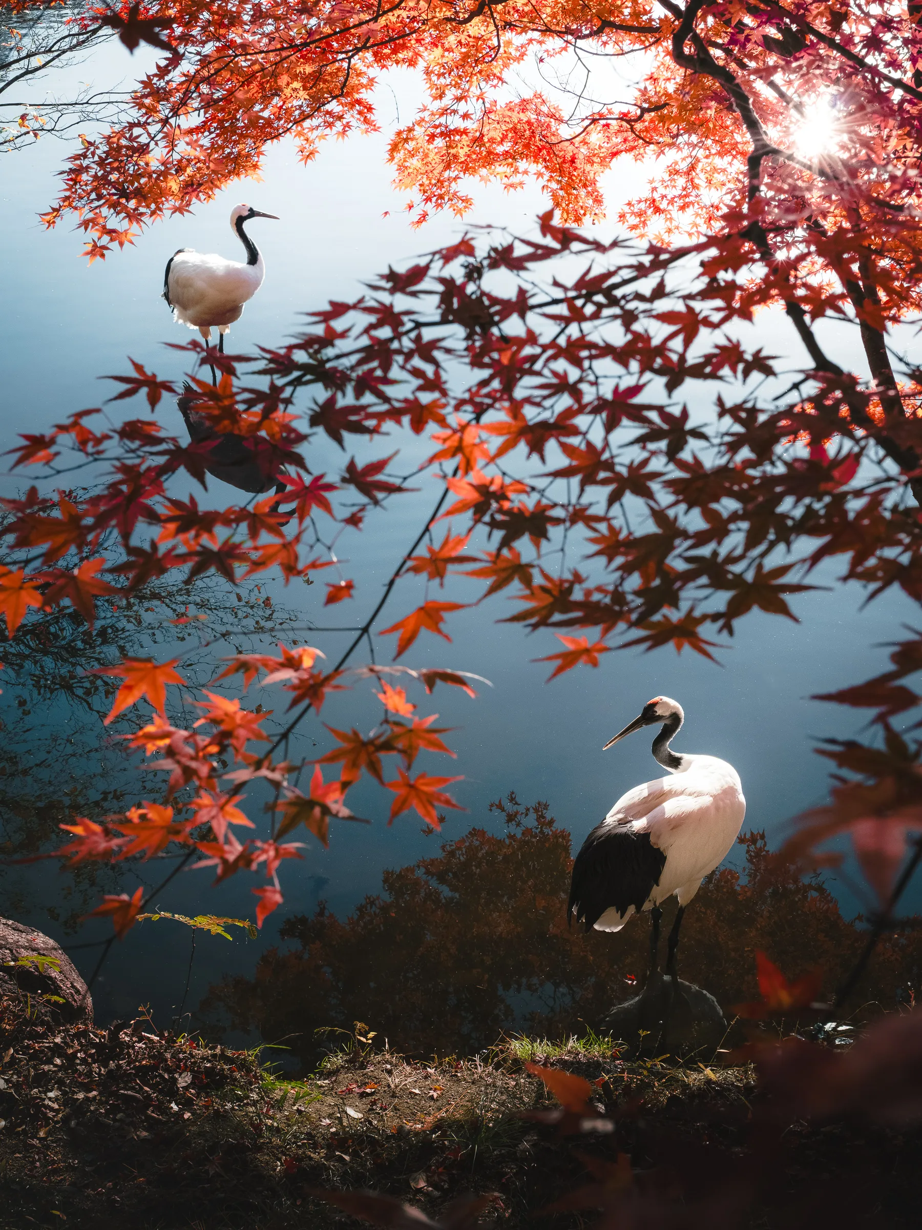 Autumn — 秋 16
