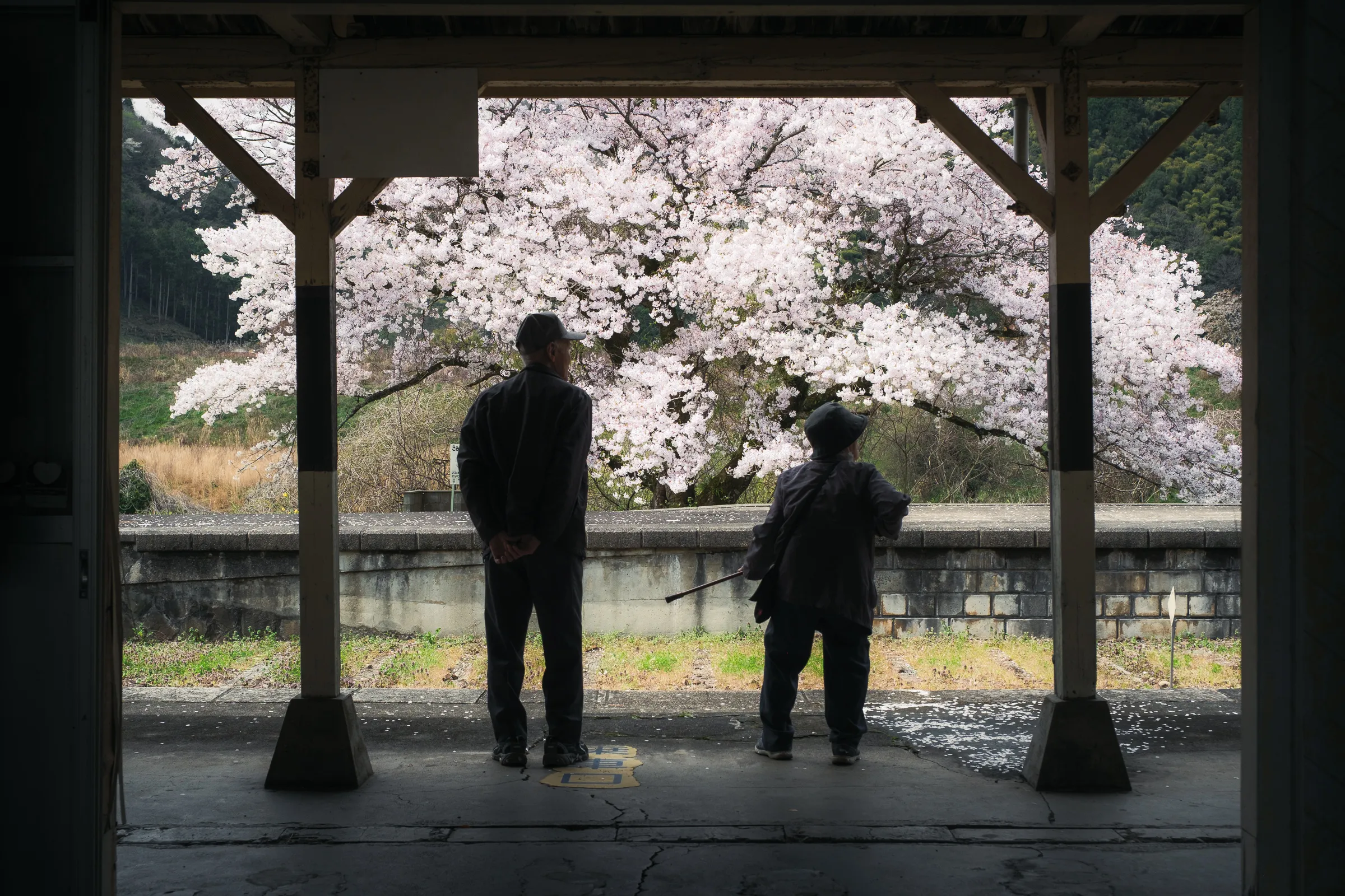 Spring — 春 16