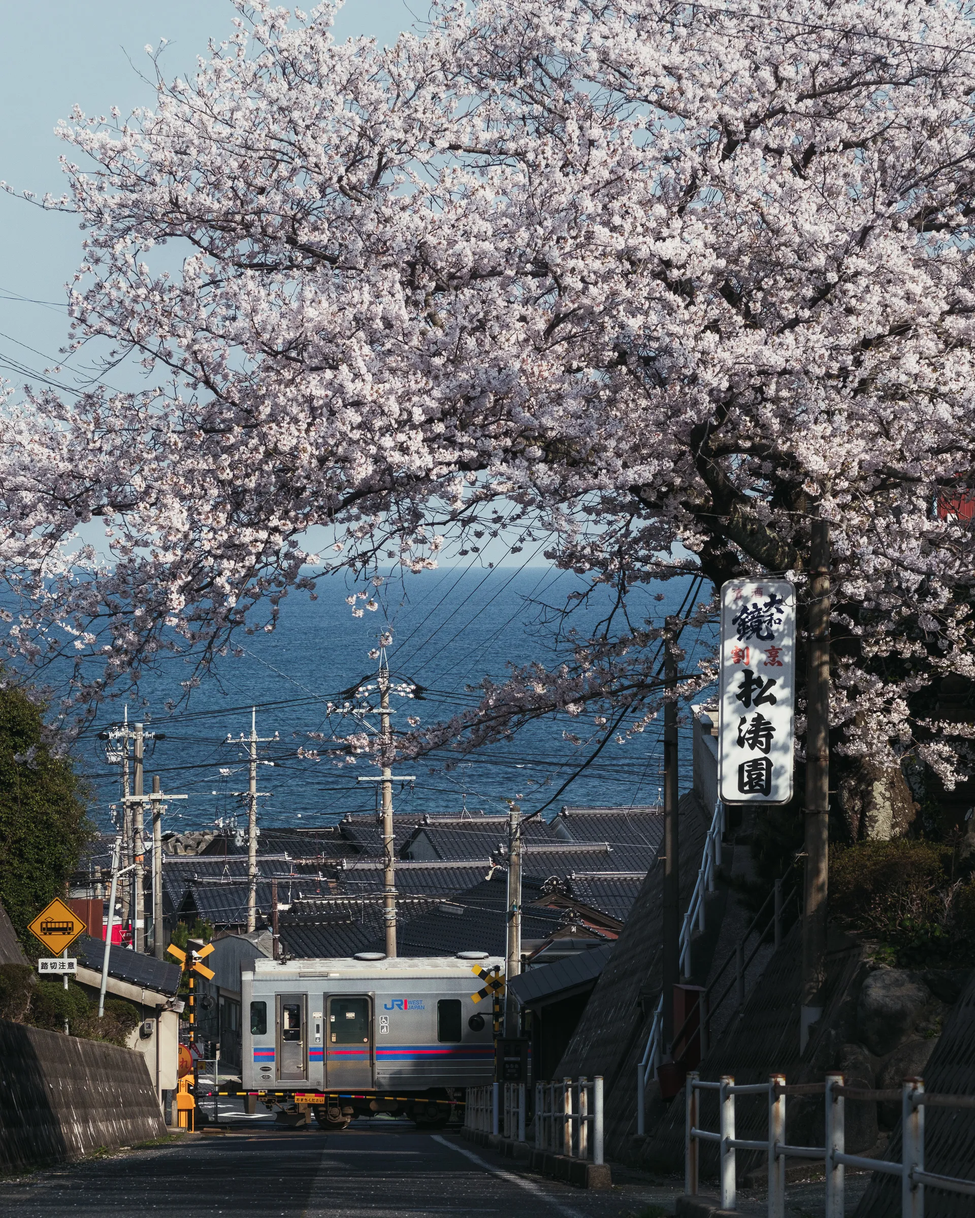 Spring — 春 22