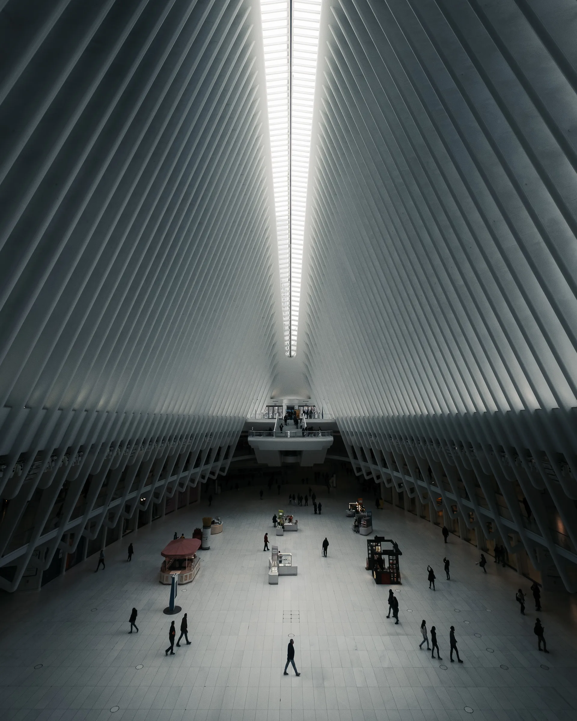 North America — 北米 3