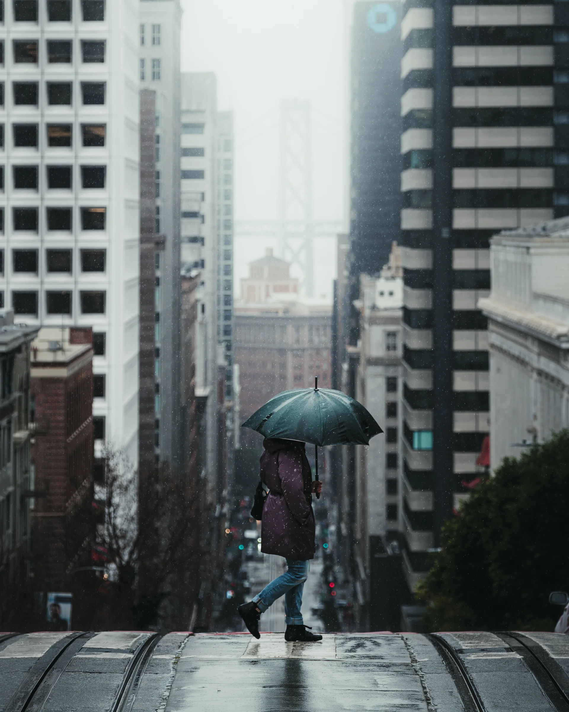 North America — 北米 12
