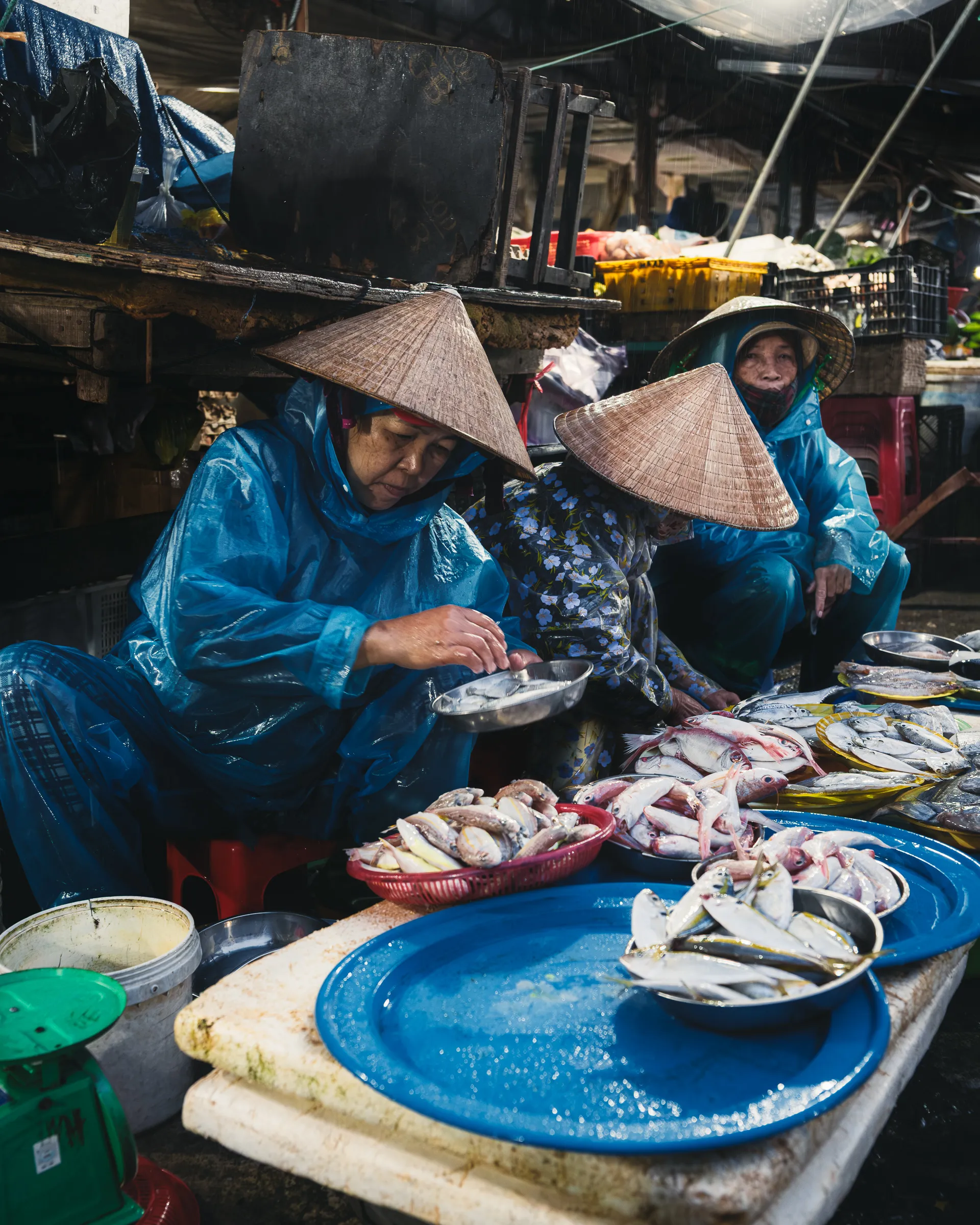 Southeast Asia — 東南 20