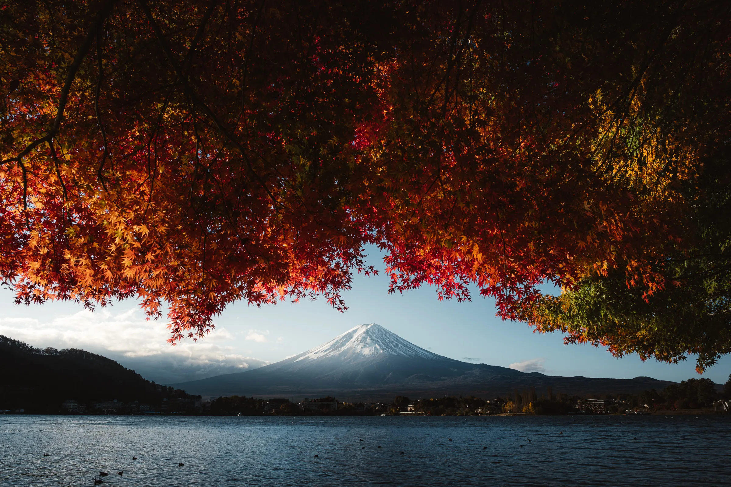 Autumn — 秋 20